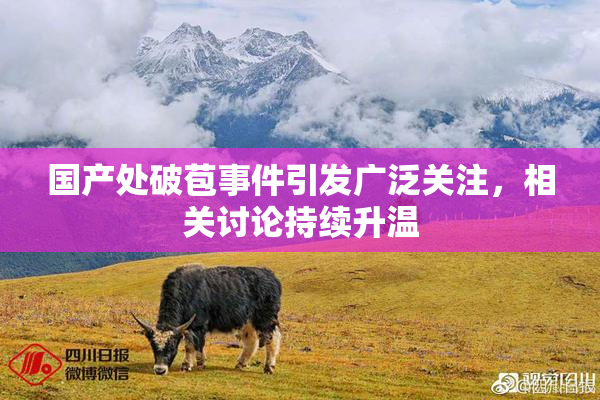 国产处破苞事件引发广泛关注，相关讨论持续升温