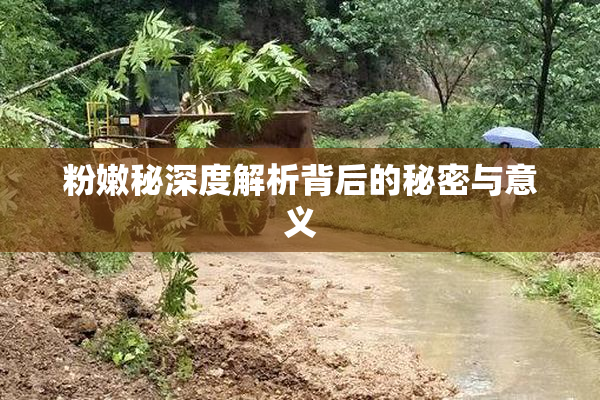 粉嫩秘深度解析背后的秘密与意义