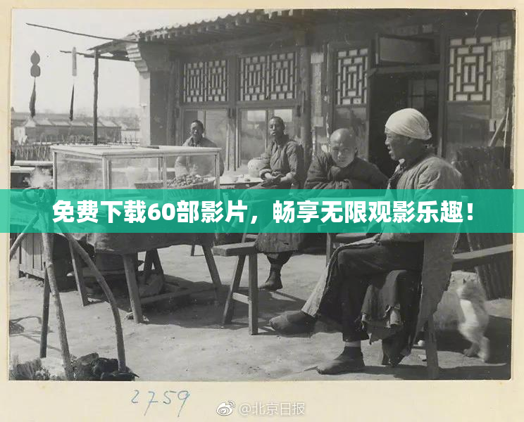 免费下载60部影片，畅享无限观影乐趣！