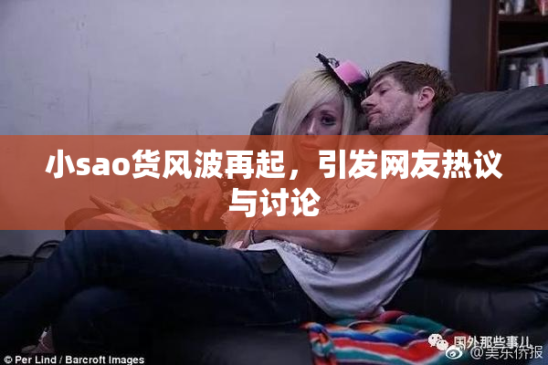 小sao货风波再起，引发网友热议与讨论