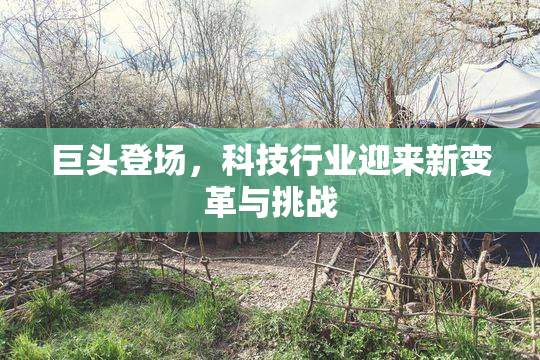 巨头登场，科技行业迎来新变革与挑战