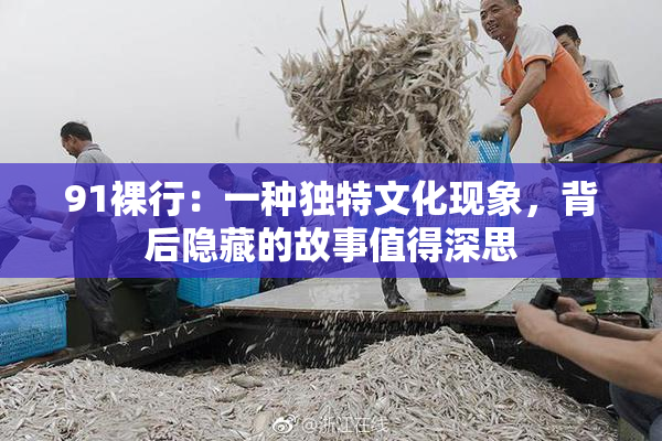 91裸行：一种独特文化现象，背后隐藏的故事值得深思