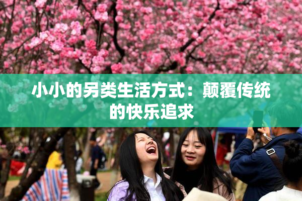 小小的另类生活方式：颠覆传统的快乐追求