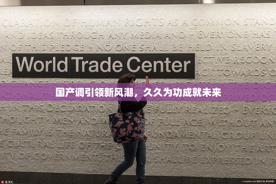 国产调引领新风潮，久久为功成就未来