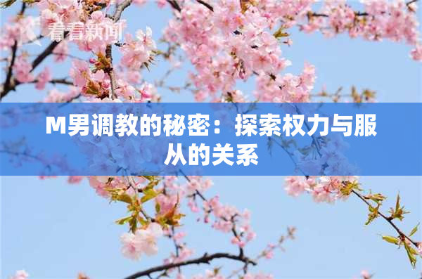 M男调教的秘密：探索权力与服从的关系