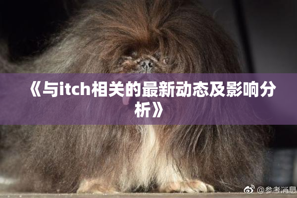 《与itch相关的最新动态及影响分析》