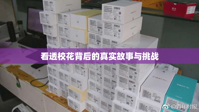 看透校花背后的真实故事与挑战