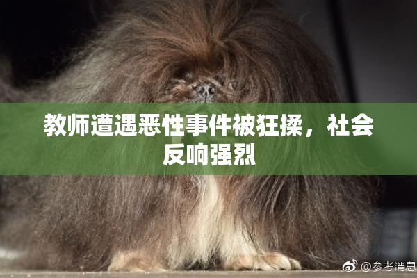 教师遭遇恶性事件被狂揉，社会反响强烈
