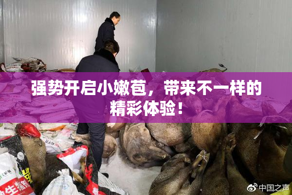 强势开启小嫩苞，带来不一样的精彩体验！