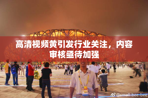 高清视频黄引发行业关注，内容审核亟待加强