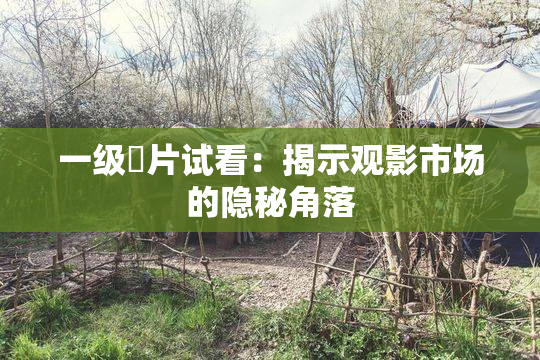 一级婬片试看：揭示观影市场的隐秘角落