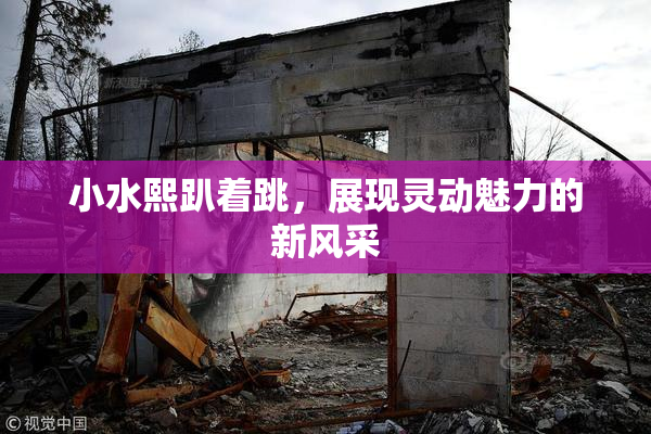 小水熙趴着跳，展现灵动魅力的新风采