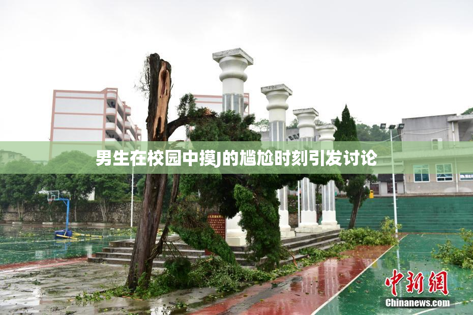 男生在校园中摸J的尴尬时刻引发讨论