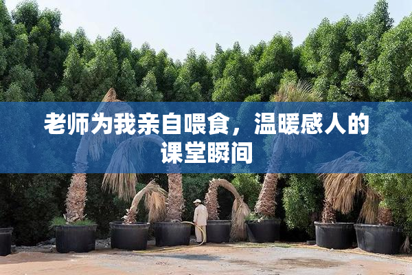 老师为我亲自喂食，温暖感人的课堂瞬间