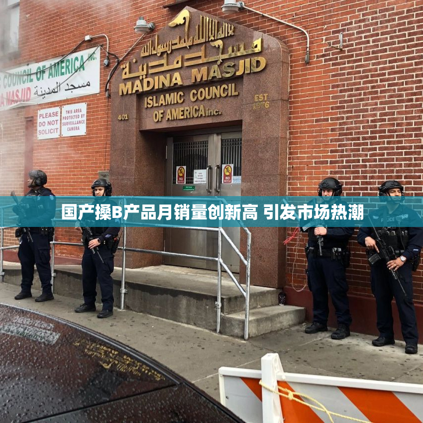 国产搡B产品月销量创新高 引发市场热潮