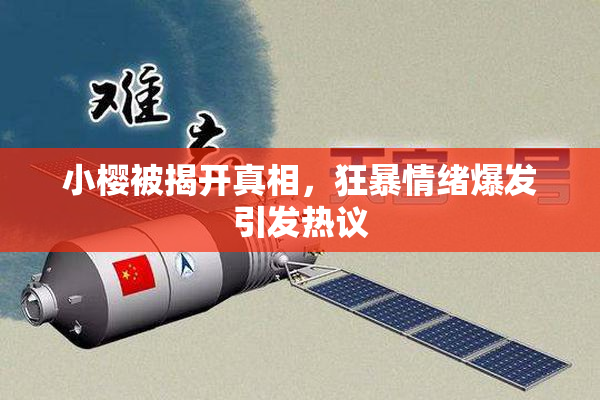 小樱被揭开真相，狂暴情绪爆发引发热议