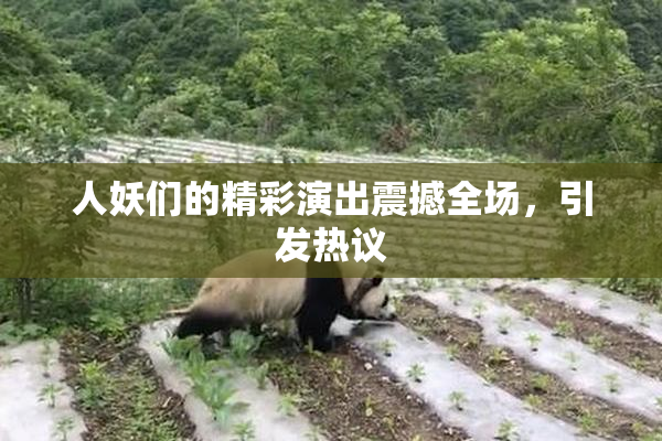 人妖们的精彩演出震撼全场，引发热议