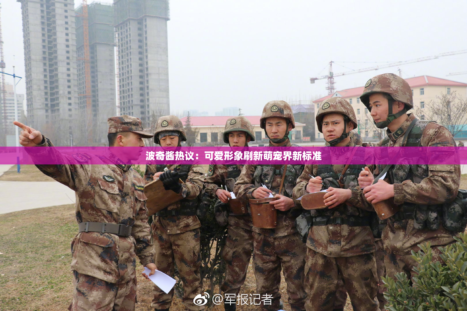 波奇酱热议：可爱形象刷新萌宠界新标准