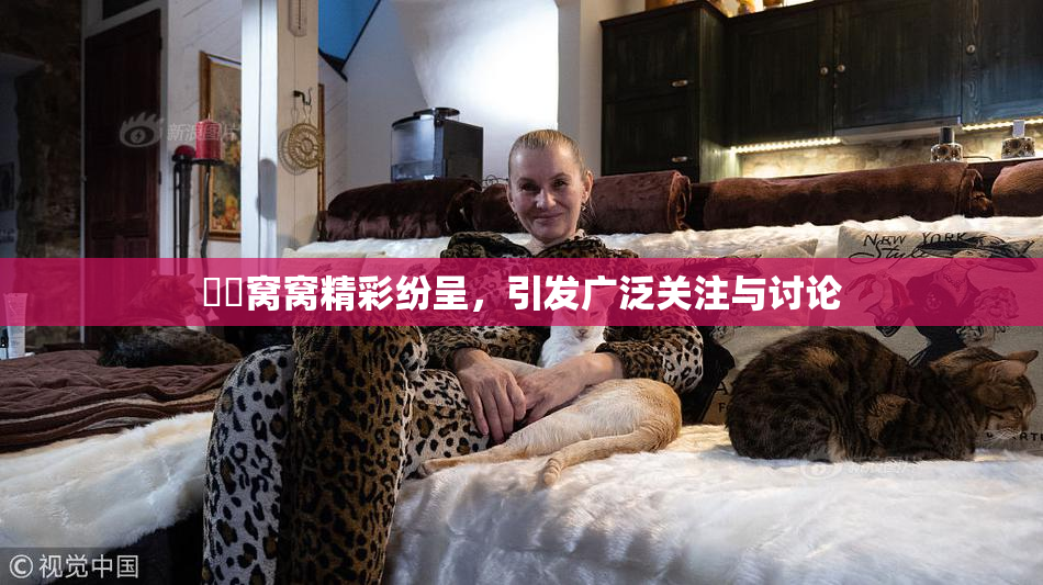 妺妺窝窝精彩纷呈，引发广泛关注与讨论