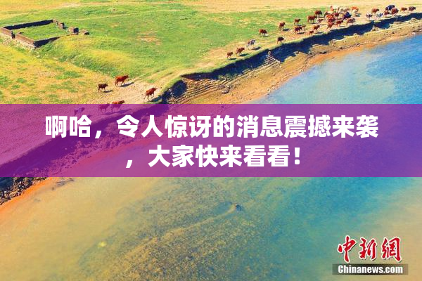 啊哈，令人惊讶的消息震撼来袭，大家快来看看！