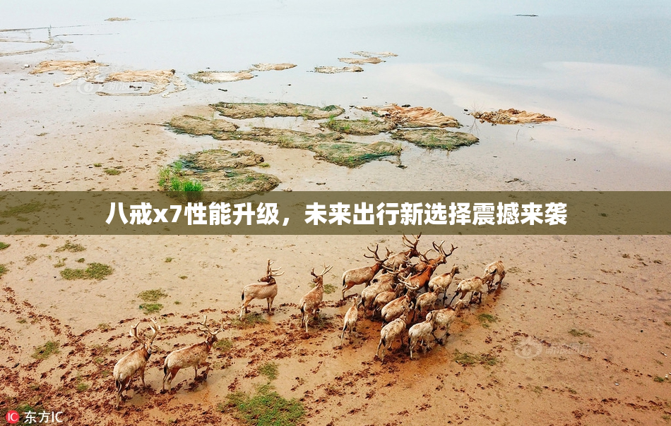 八戒x7性能升级，未来出行新选择震撼来袭
