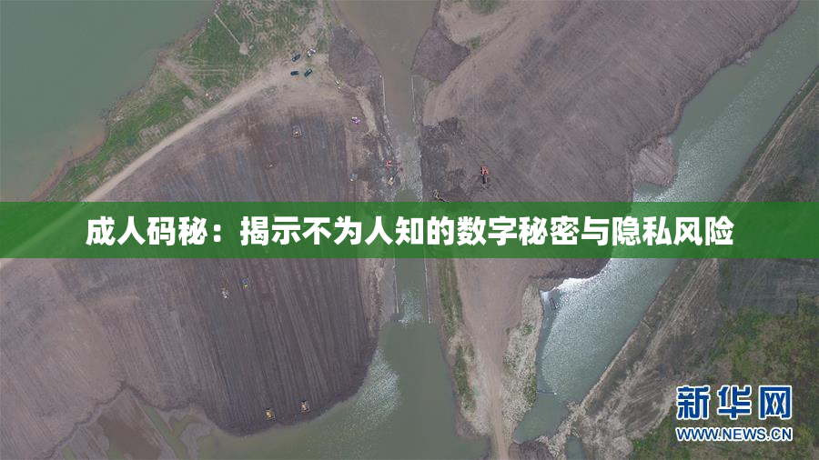 成人码秘：揭示不为人知的数字秘密与隐私风险
