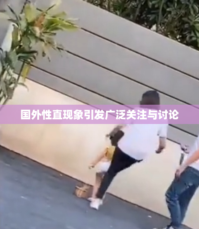 国外性直现象引发广泛关注与讨论