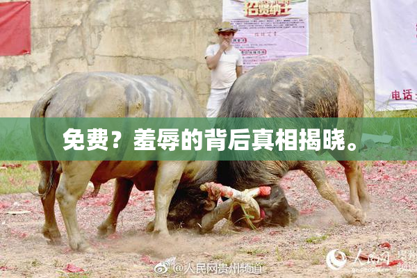 免费？羞辱的背后真相揭晓。