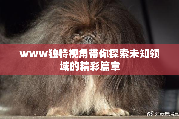 www独特视角带你探索未知领域的精彩篇章