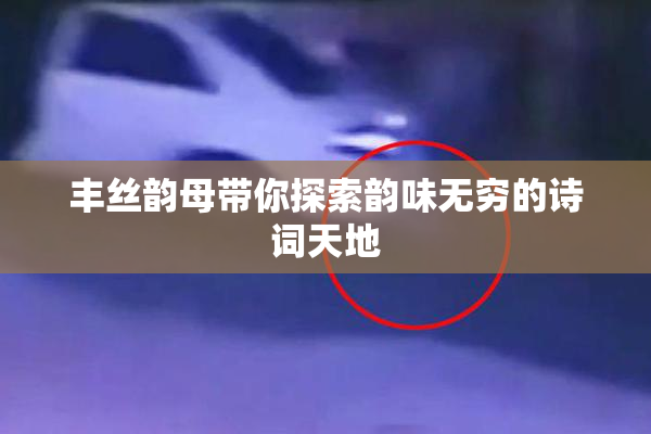 丰丝韵母带你探索韵味无穷的诗词天地