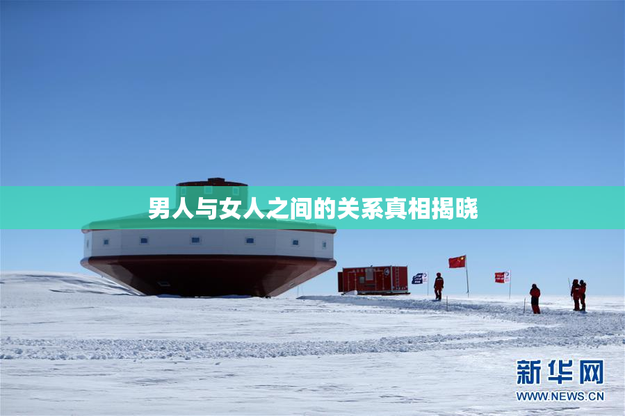 男人与女人之间的关系真相揭晓