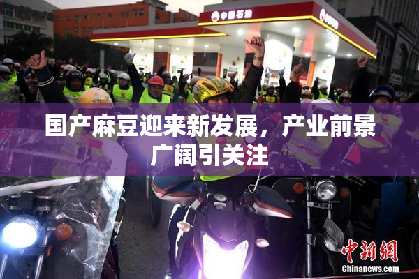 国产麻豆迎来新发展，产业前景广阔引关注