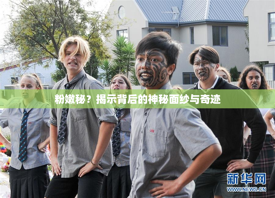 粉嫩秘？揭示背后的神秘面纱与奇迹