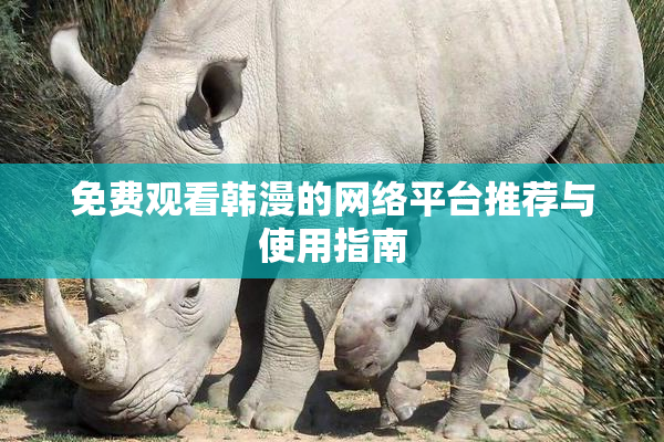 免费观看韩漫的网络平台推荐与使用指南