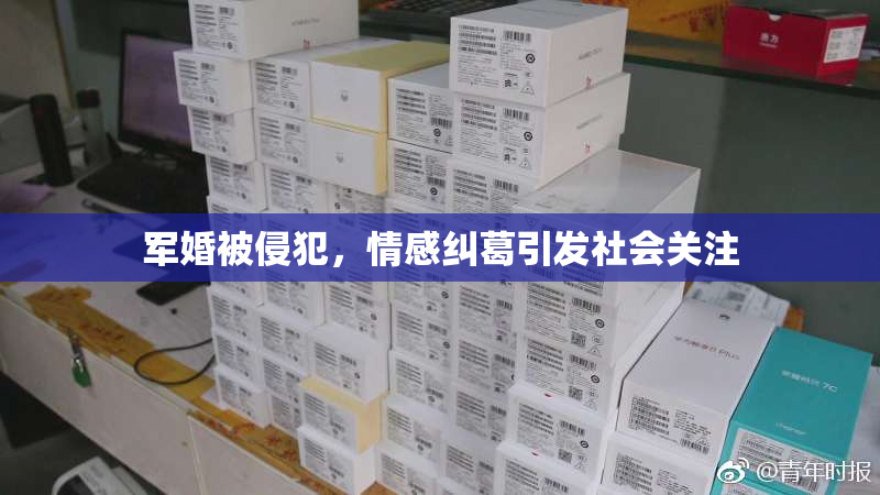 军婚被侵犯，情感纠葛引发社会关注