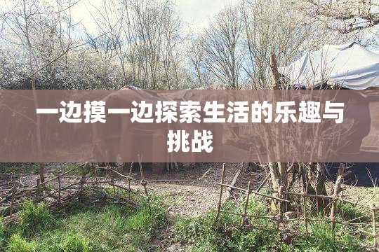 一边摸一边探索生活的乐趣与挑战