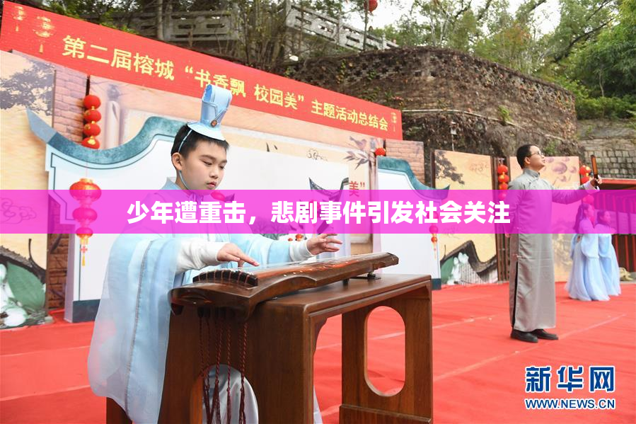 少年遭重击，悲剧事件引发社会关注