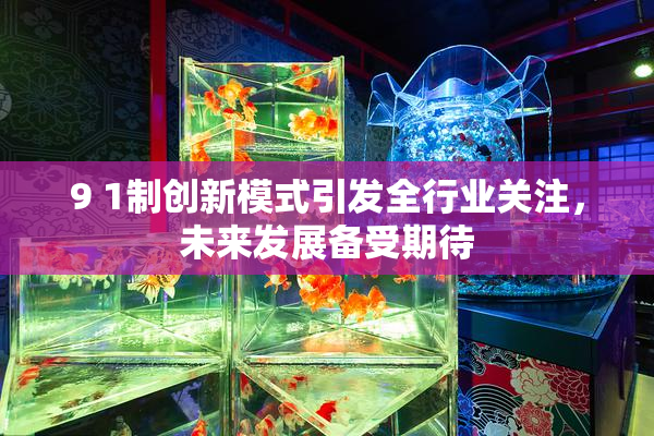9 1制创新模式引发全行业关注，未来发展备受期待