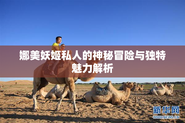 娜美妖姬私人的神秘冒险与独特魅力解析