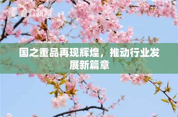 国之重品再现辉煌，推动行业发展新篇章