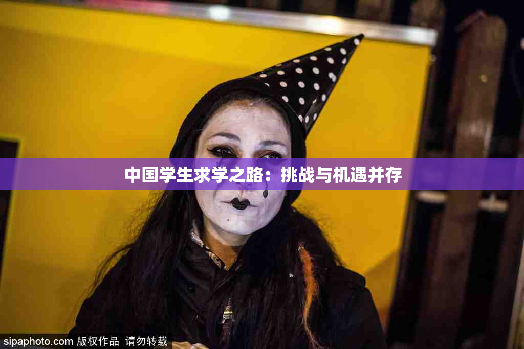 中国学生求学之路：挑战与机遇并存