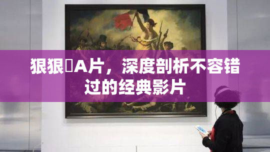 狠狠穞A片，深度剖析不容错过的经典影片