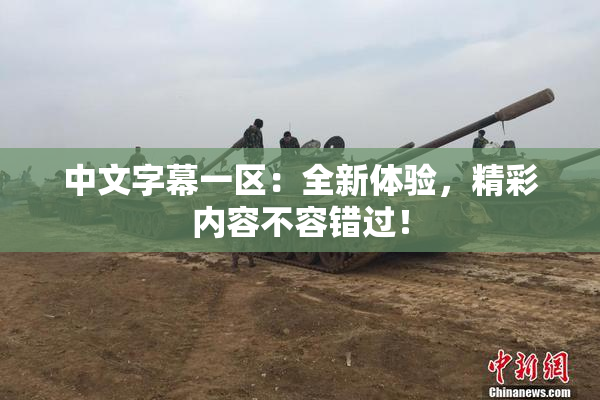 中文字幕一区：全新体验，精彩内容不容错过！