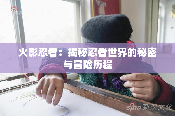 火影忍者：揭秘忍者世界的秘密与冒险历程