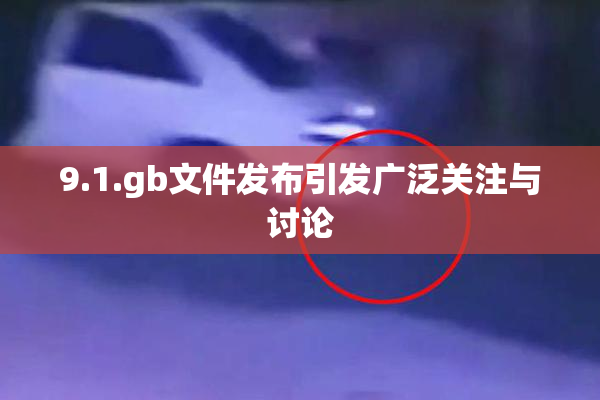 9.1.gb文件发布引发广泛关注与讨论