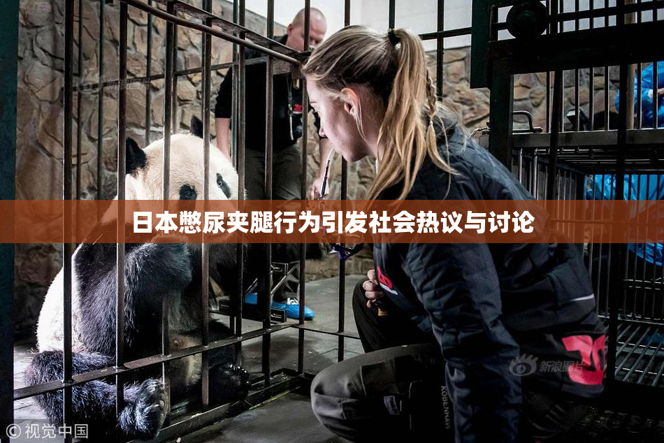 日本憋尿夹腿行为引发社会热议与讨论