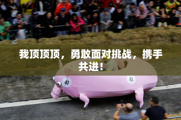 我顶顶顶，勇敢面对挑战，携手共进！