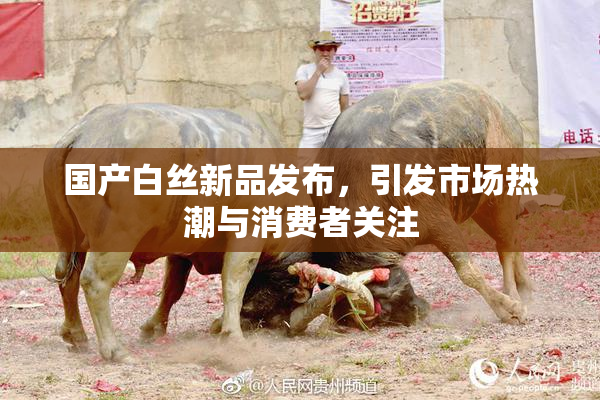 国产白丝新品发布，引发市场热潮与消费者关注