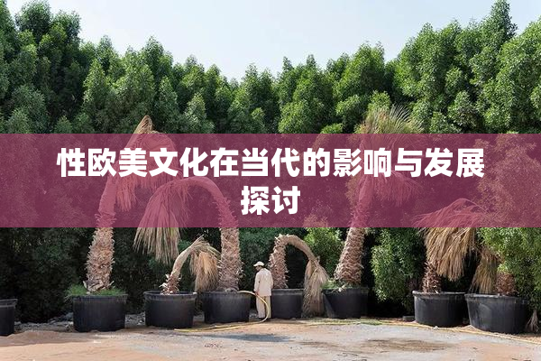 性欧美文化在当代的影响与发展探讨