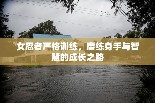 女忍者严格训练，磨练身手与智慧的成长之路